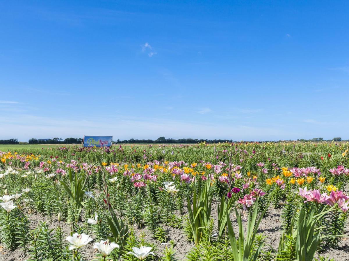 Charming Holiday Home Near Beach In Meliskerke Esterno foto